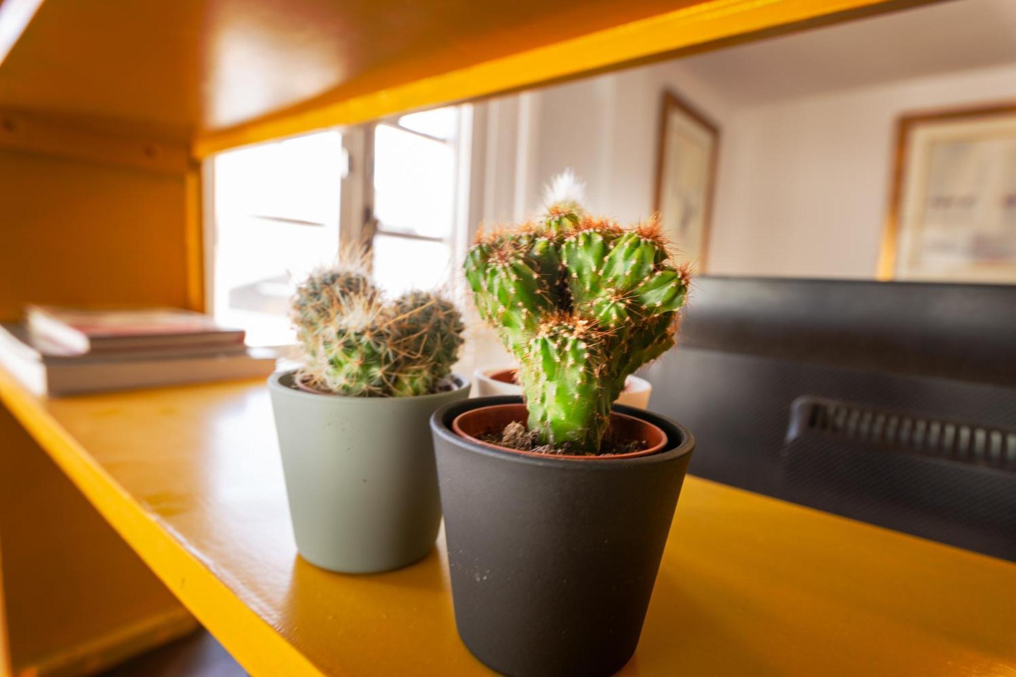 Duquesa Port Studio Apartment - Bright Sunlit Terrace Manilva Bagian luar foto